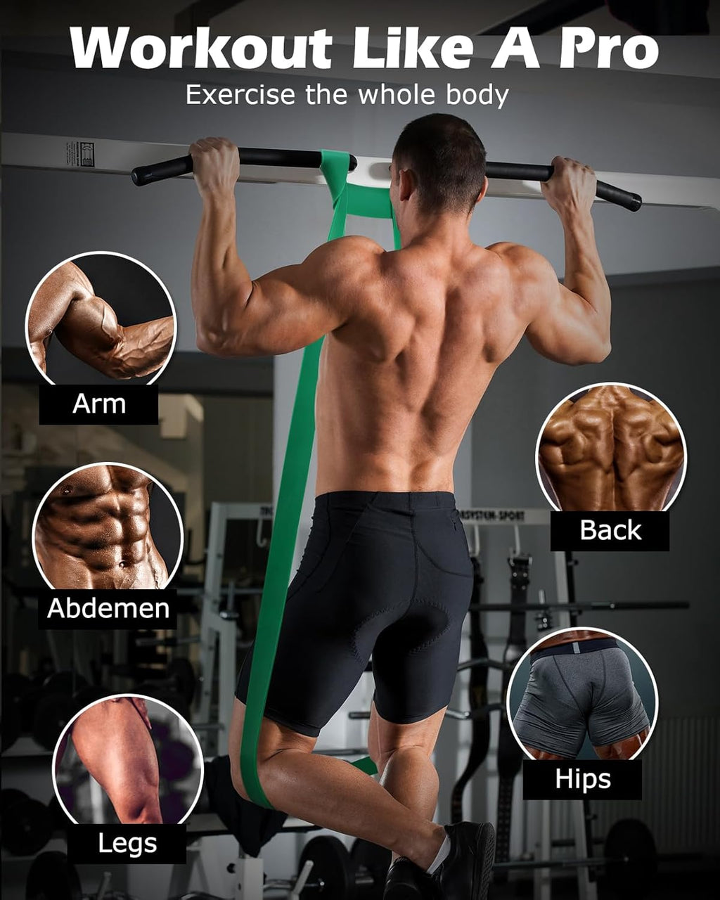 Zeneletics Resistance Band Set with Door Anchor